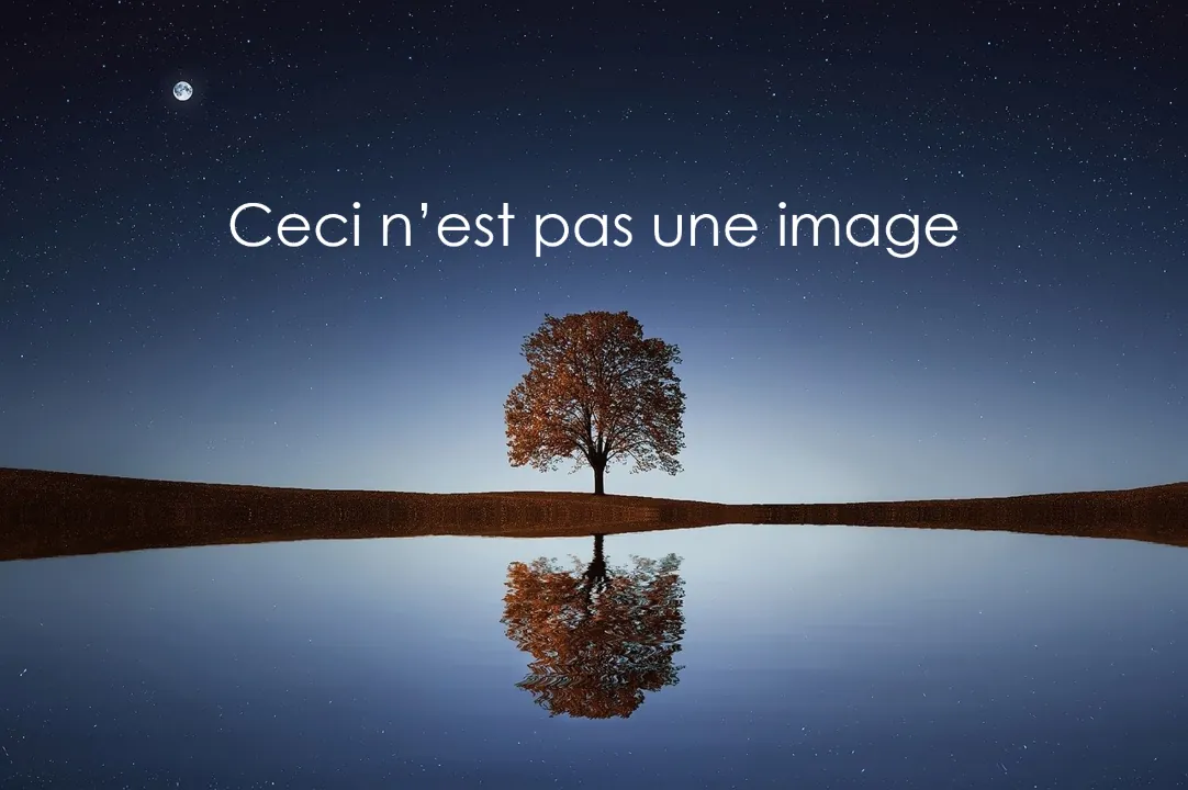 paradoxe (Personnalisé)
