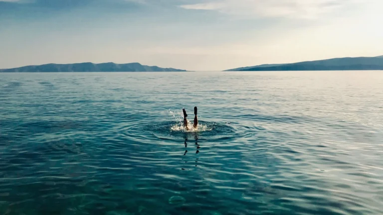 #16 Le Plongeon