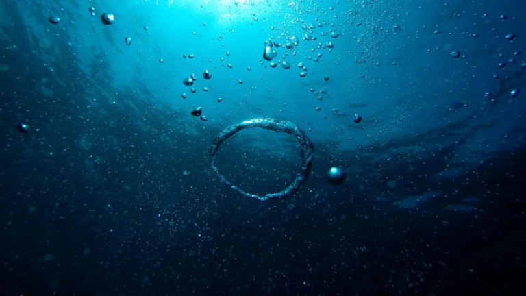 Sous la surface